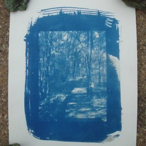 winding bridge cyanotype