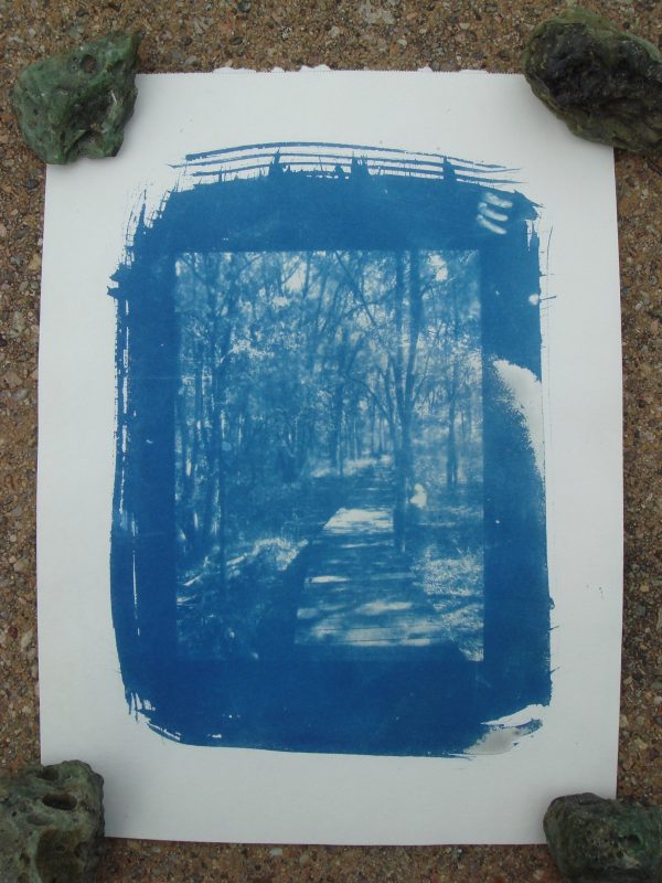 winding bridge cyanotype
