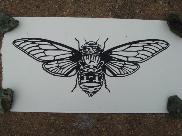 Cicada Block Print