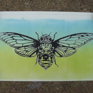 cicada block print over monotype